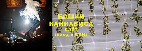 дживик Магас