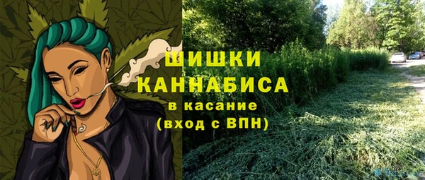 дживик Магас