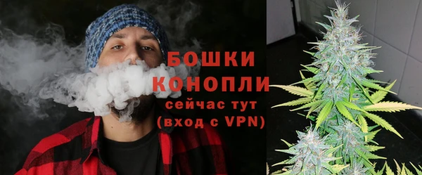 дживик Магас