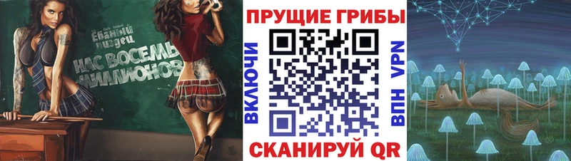 Псилоцибиновые грибы Magic Shrooms  наркота  Таганрог 